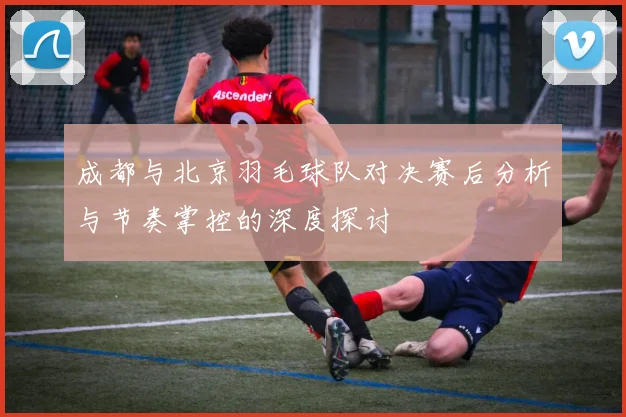 成都与北京羽毛球队对决赛后分析与节奏掌控的深度探讨